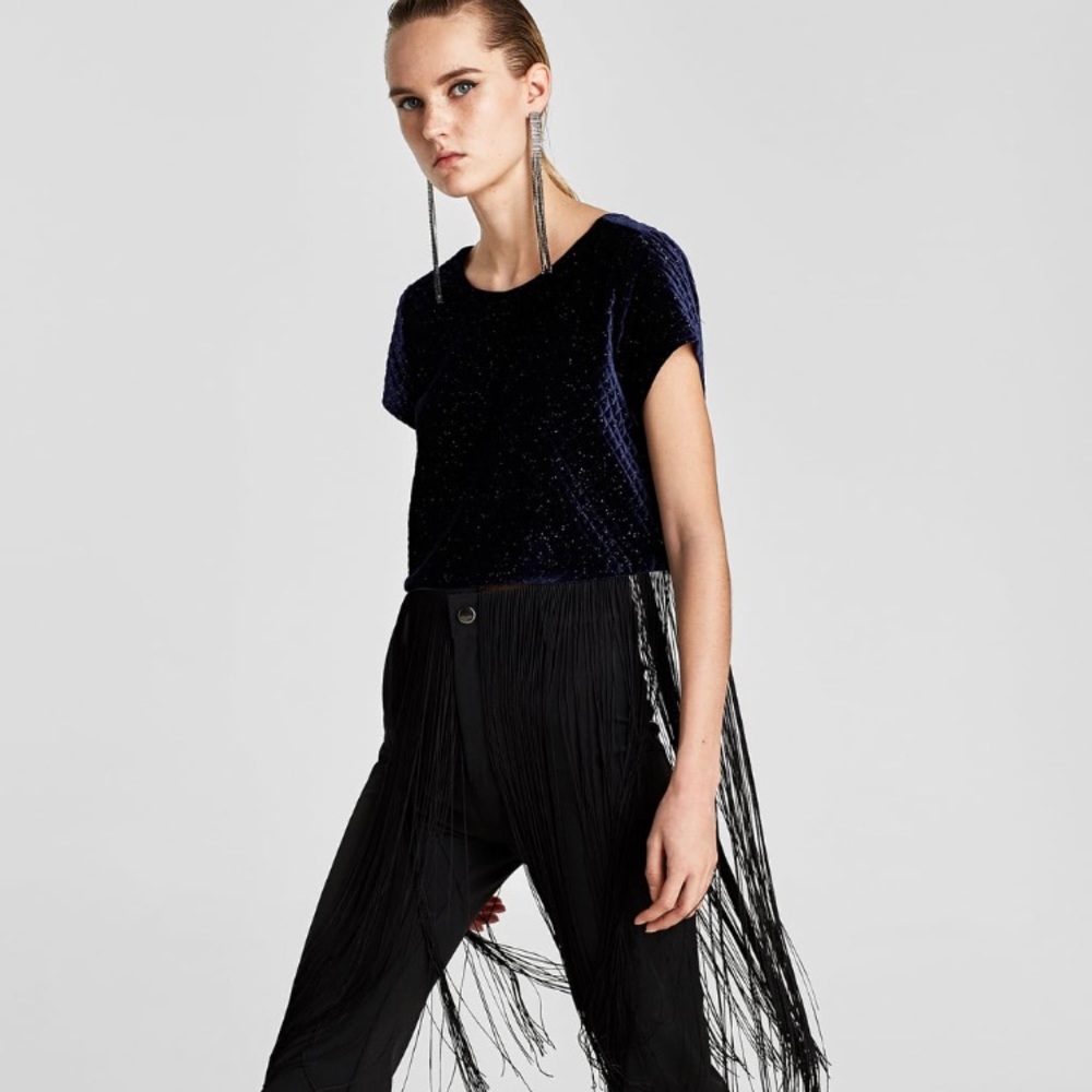 Brand new with tags Zara velvet top!